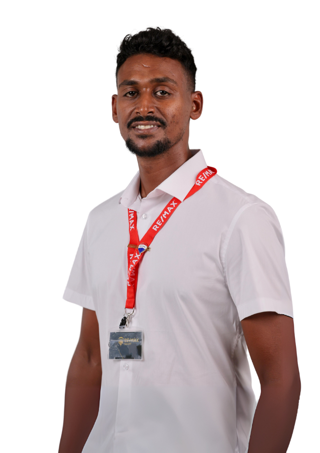 אילן איילין